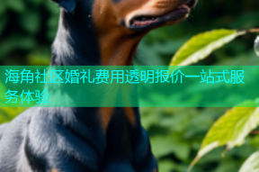海角社区婚礼费用透明报价一站式服务体验