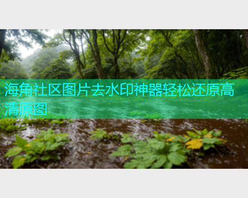 海角社区图片去水印神器轻松还原高清原图  第1张
