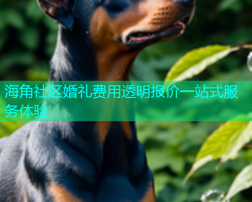 海角社区婚礼费用透明报价一站式服务体验  第1张